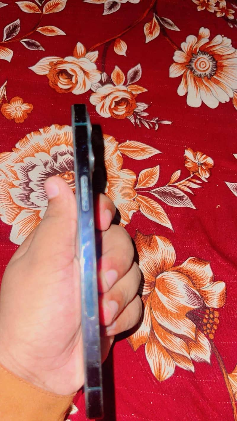 Apple iPhone 12 Pro Max 2