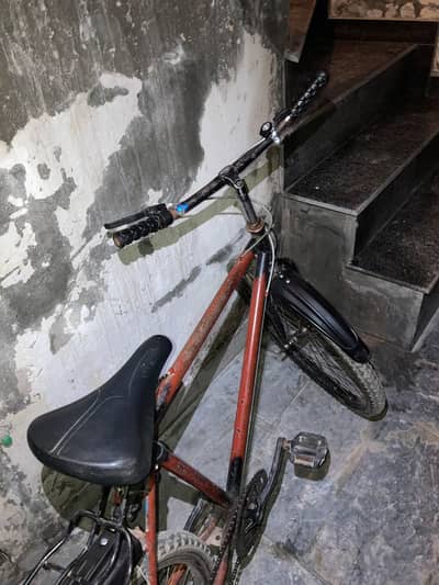 Phoenix Bicycle For sale