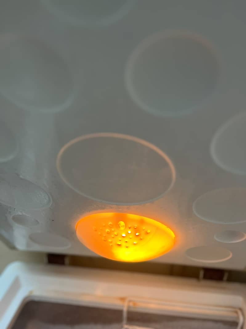 Haier Deep Feezer 6