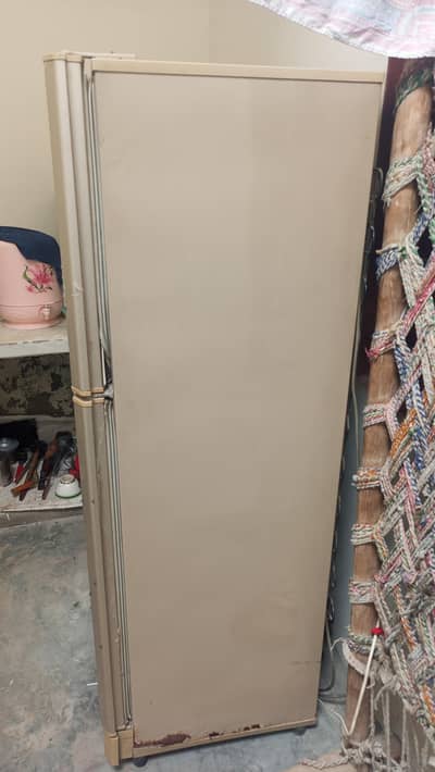pel used fridge