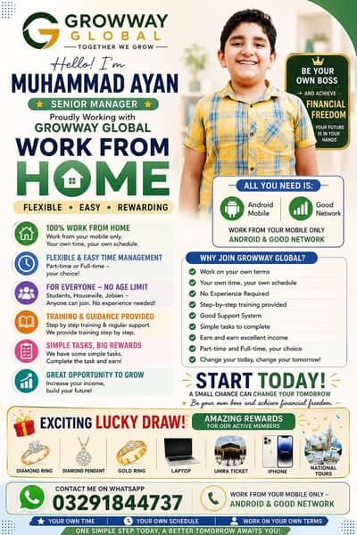fully online work