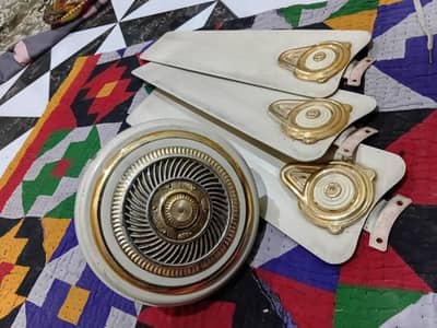 Fan for sale