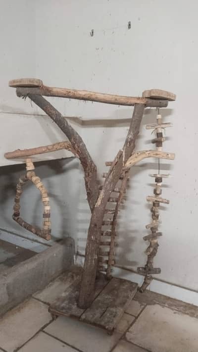 parrot wood stand