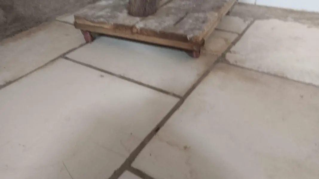 parrot wood stand — photo 4