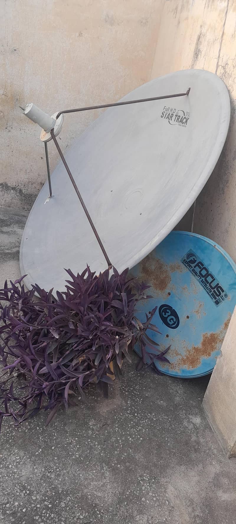 dish umbrella  0