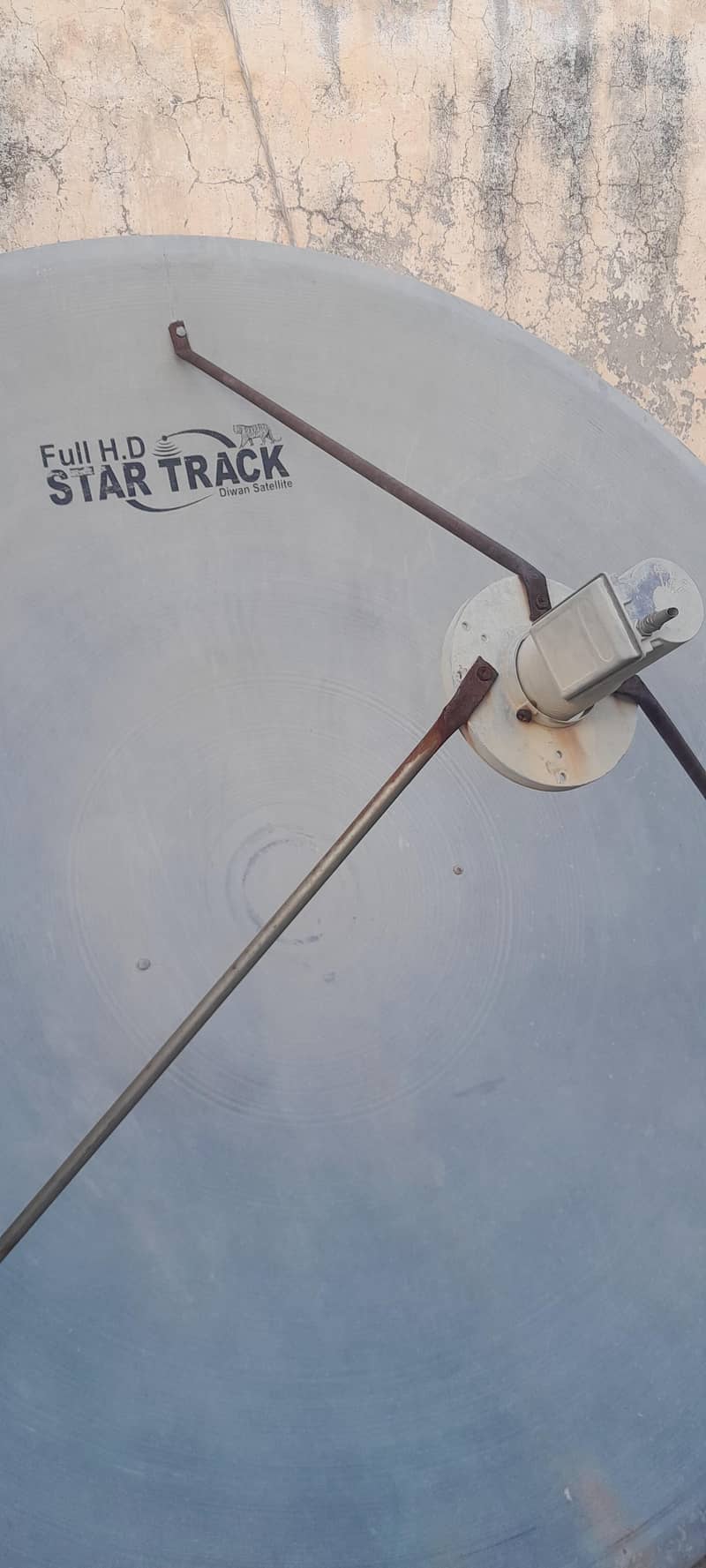 dish umbrella  1