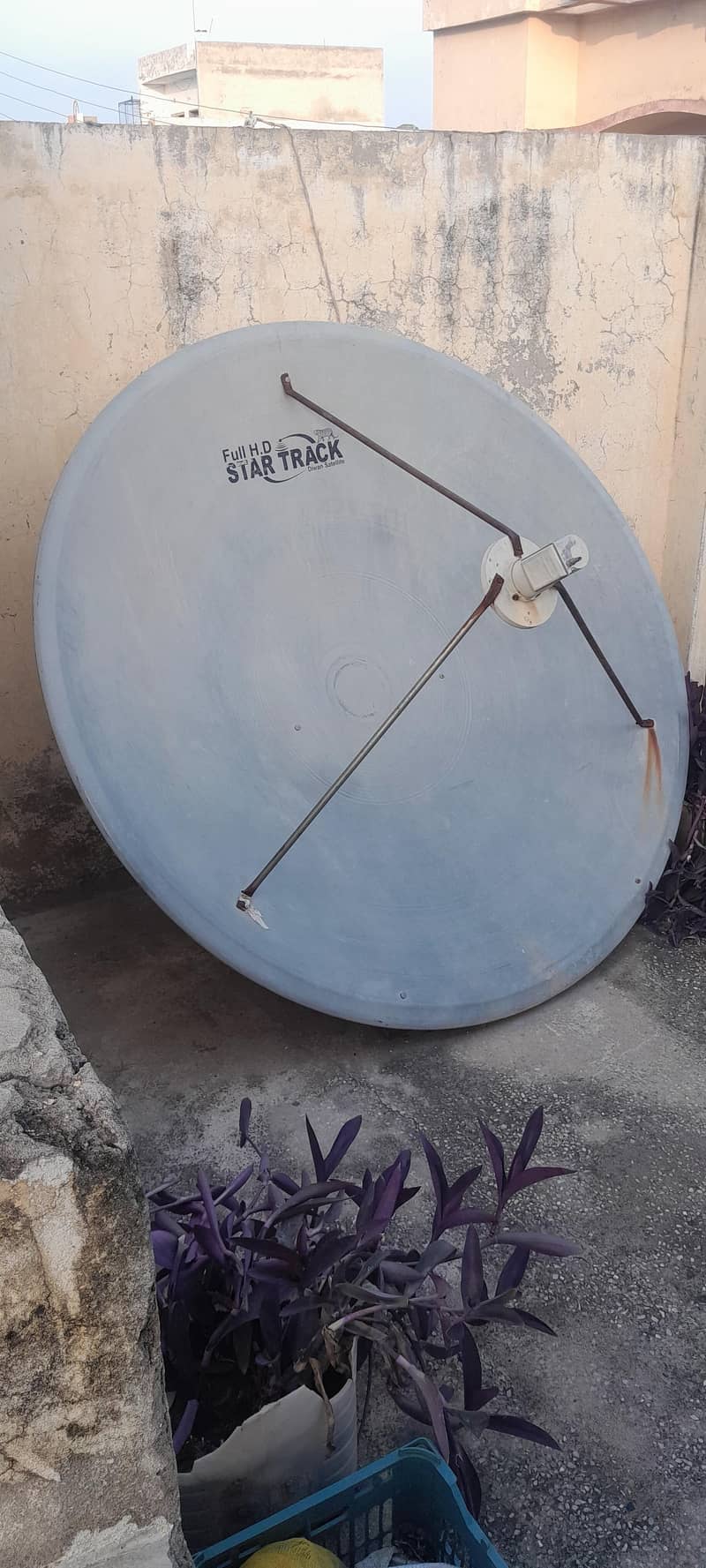 dish umbrella  2