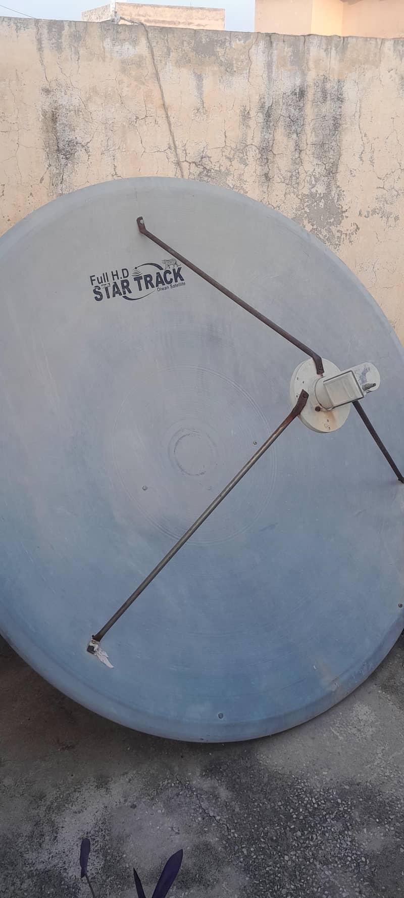 dish umbrella  3