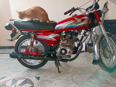 CG 125