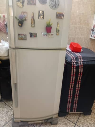 Dawlamce 14 cubic feet Refrigerator