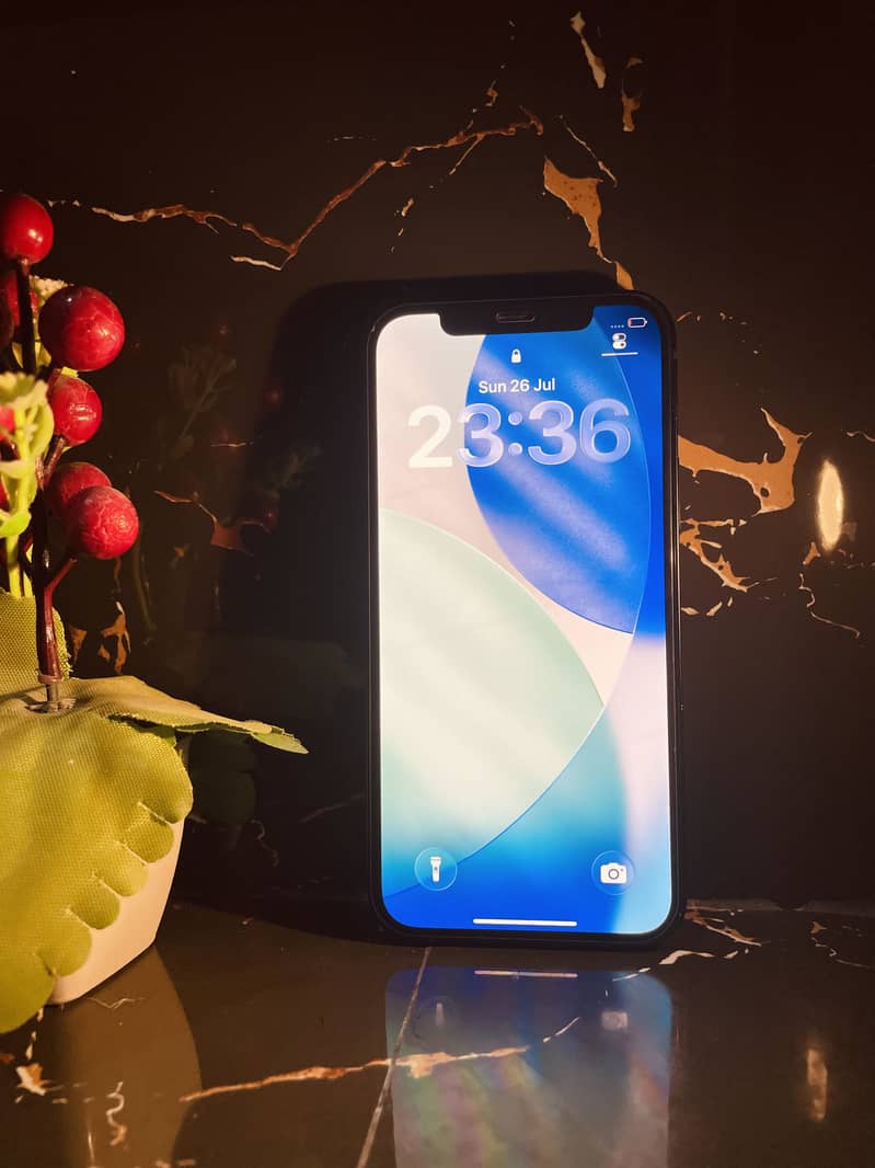 Apple iPhone 12 1