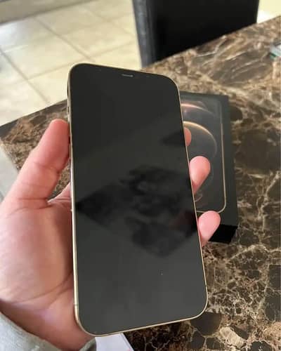 Apple iPhone 12 Pro Max 256 GB argent for sale