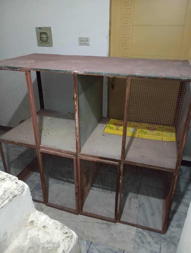 cage bird 1