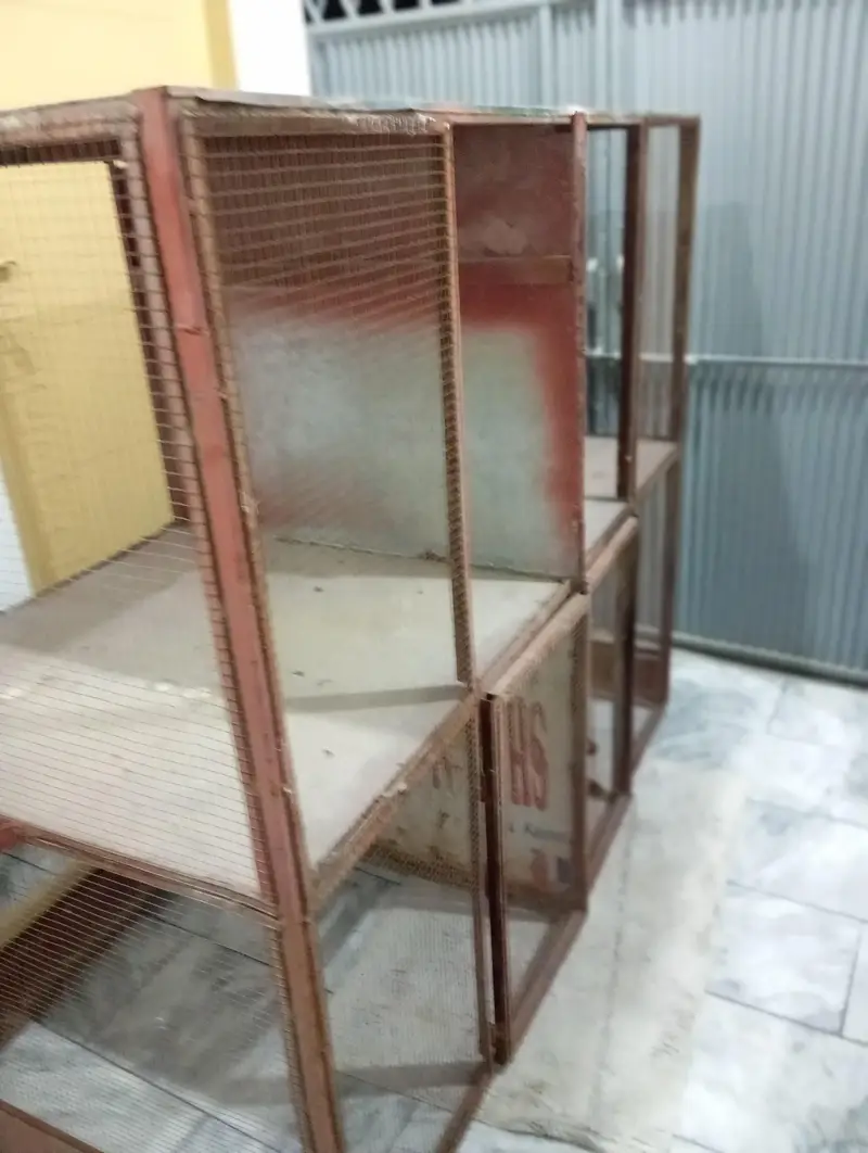 cage bird — photo 5