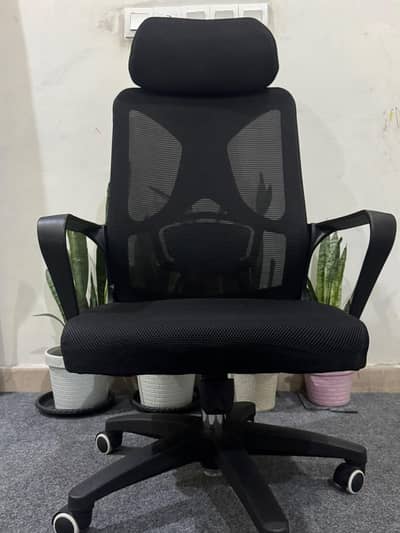 Ergonomic Office / Computer Chair