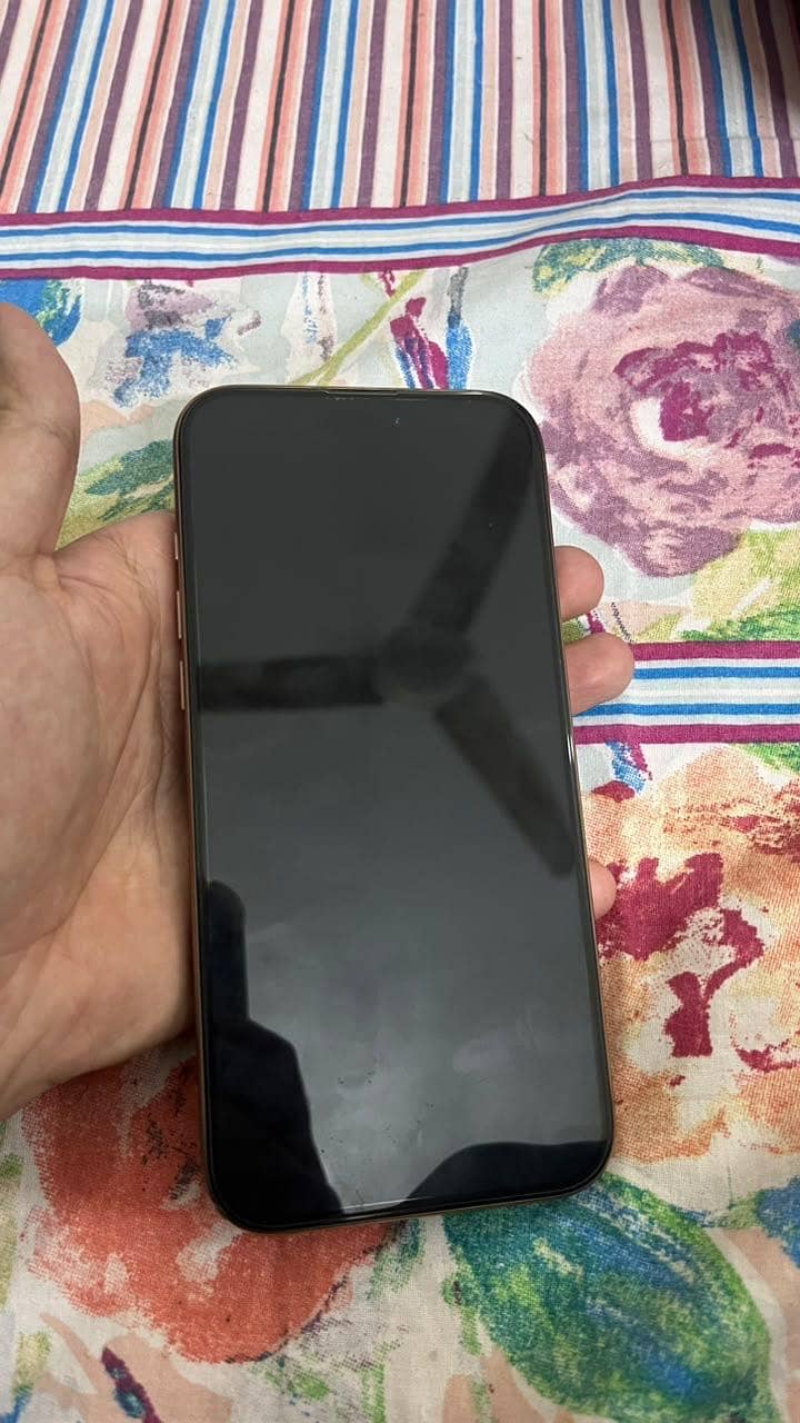 Apple iPhone 16 Pro Max 3