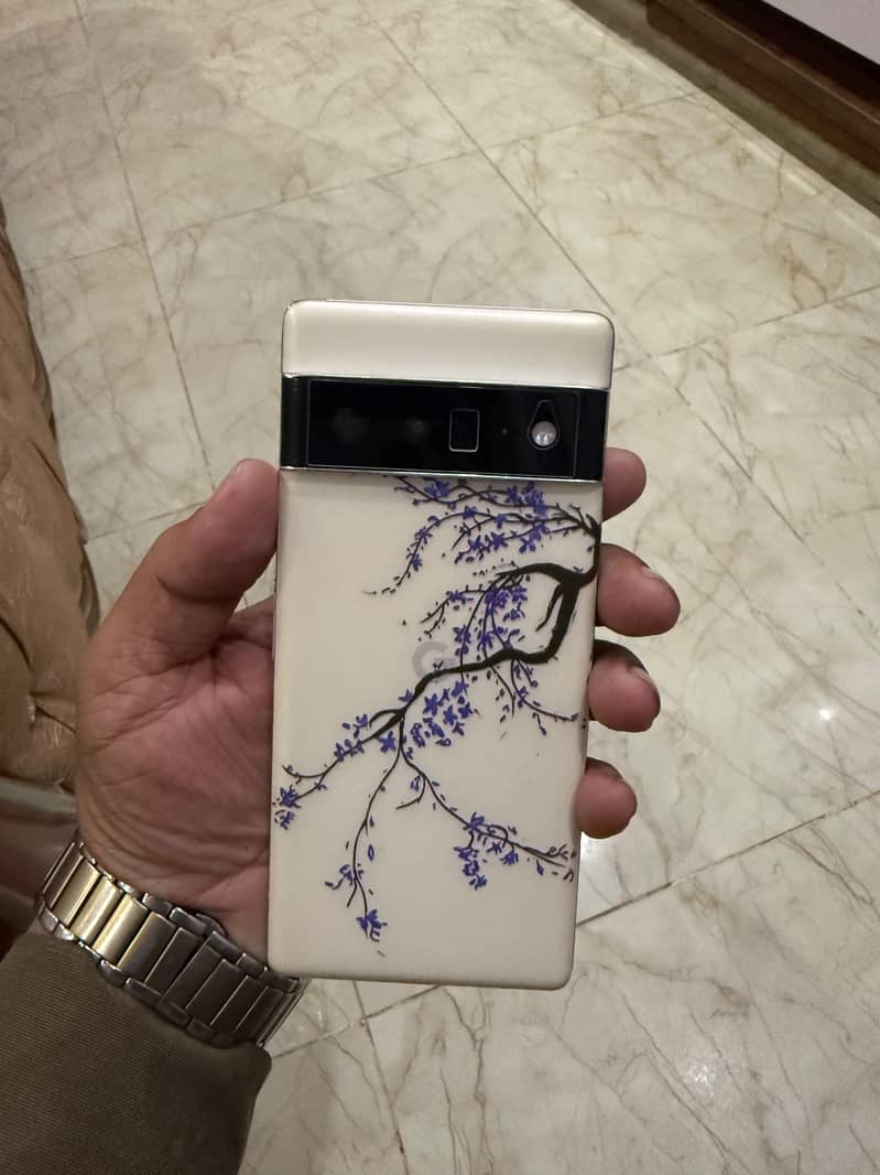 Google Pixel 6 Pro 0