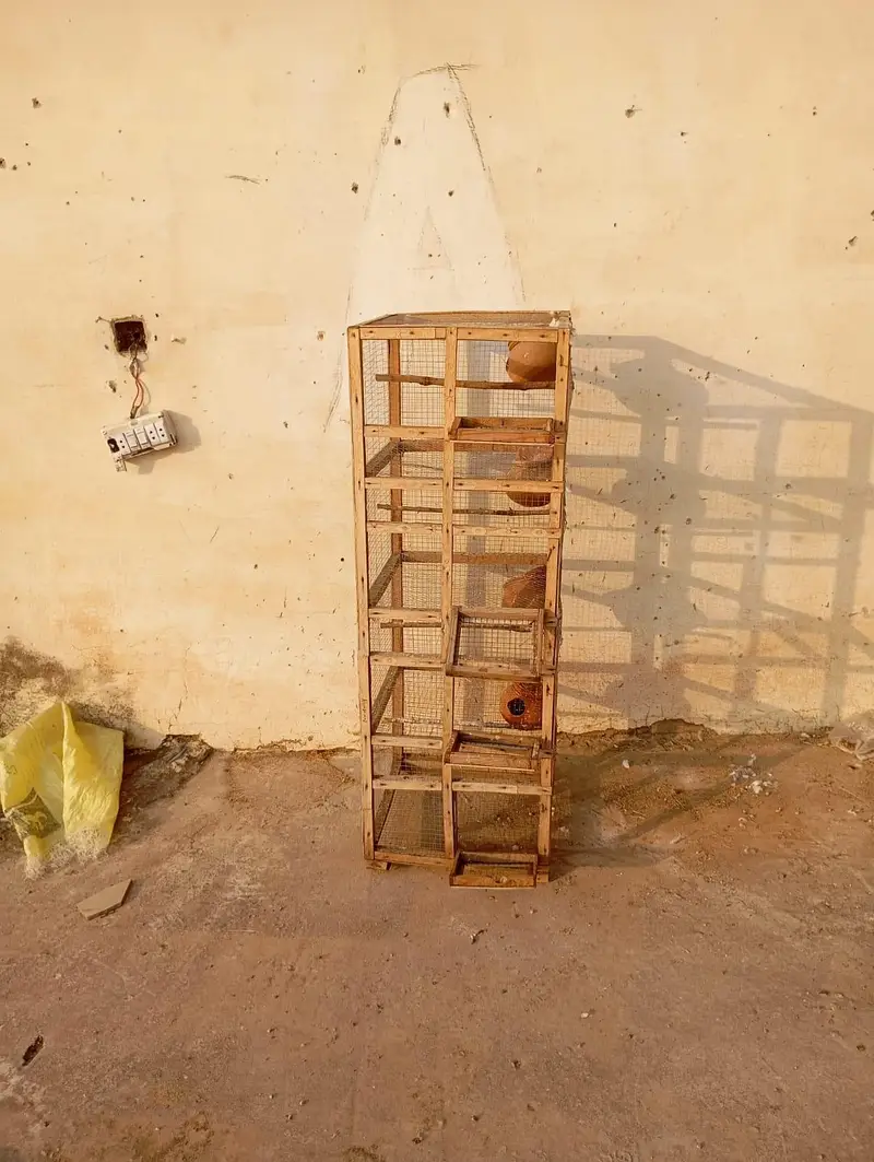Cage for sale (Wooden) — photo 2