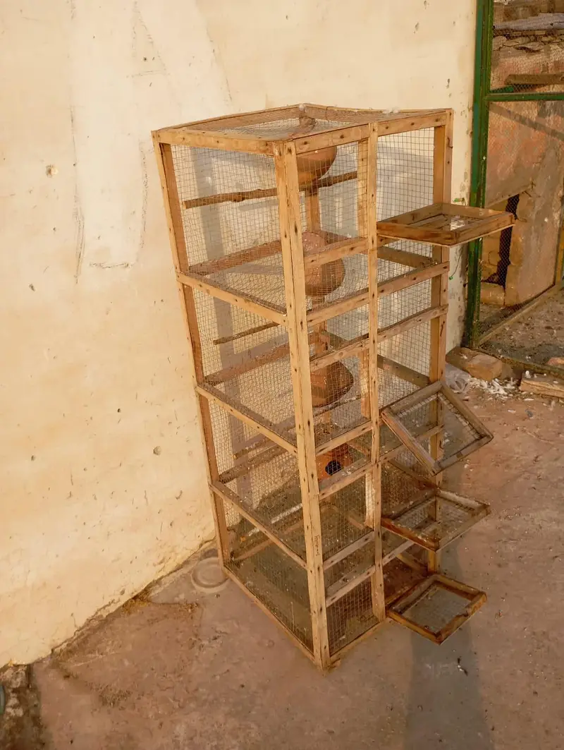 Cage for sale (Wooden) — photo 3