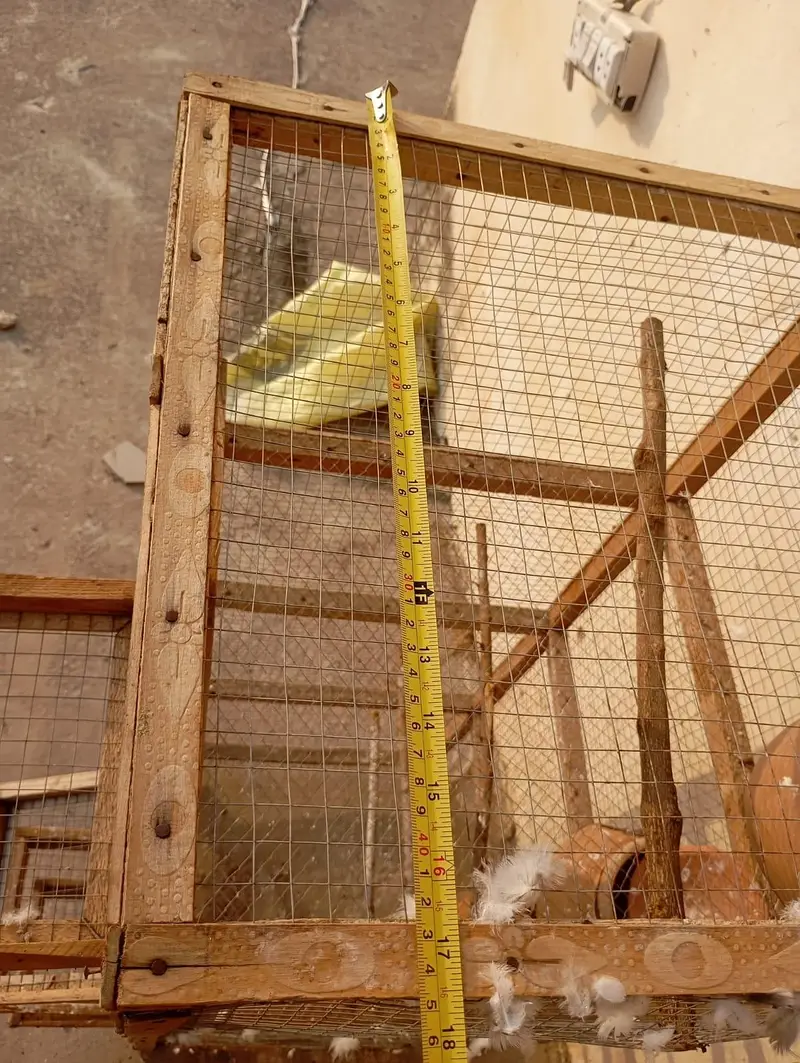 Cage for sale (Wooden) — photo 5