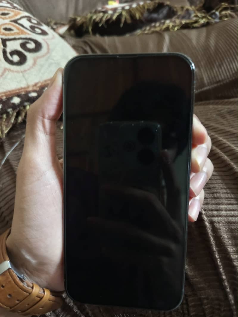 Apple iPhone 13 Pro Max 6