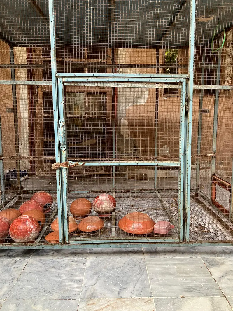 Large Bird Breeding Cage | Iron Aviary — photo 2