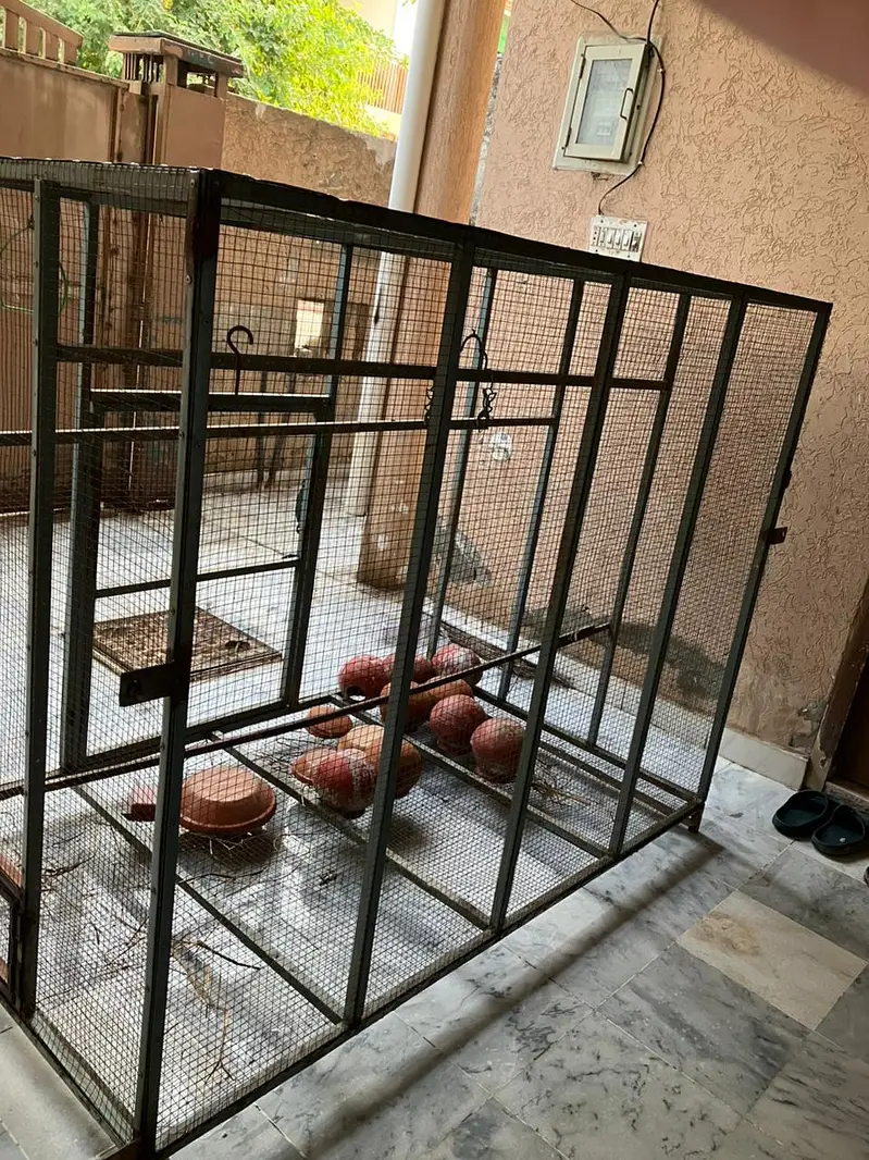 Large Bird Breeding Cage | Iron Aviary — photo 3