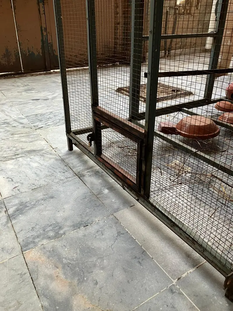 Large Bird Breeding Cage | Iron Aviary — photo 4