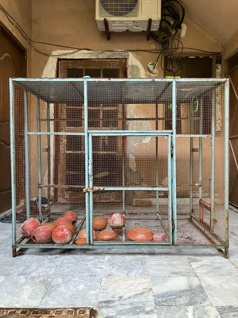 Large Bird Breeding Cage | Iron Aviary — photo 5