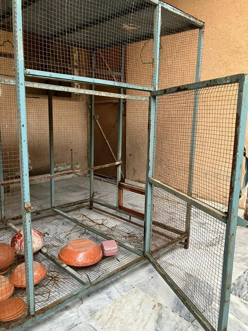 Large Bird Breeding Cage | Iron Aviary — photo 6