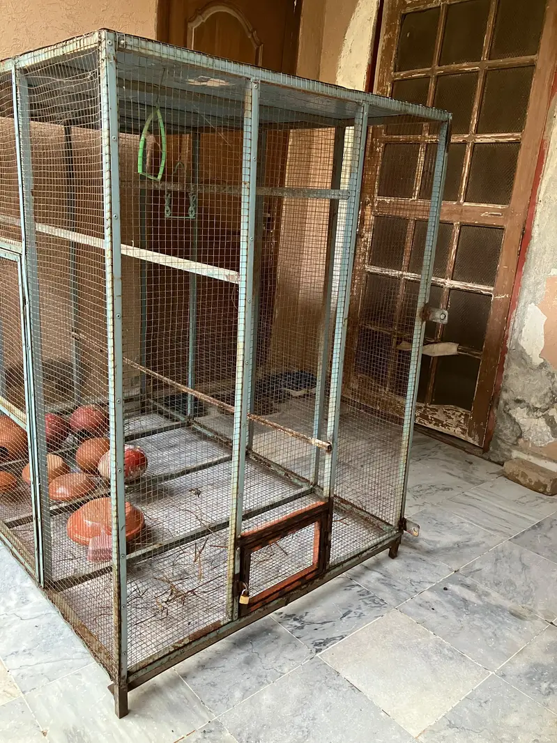 Large Bird Breeding Cage | Iron Aviary — photo 7