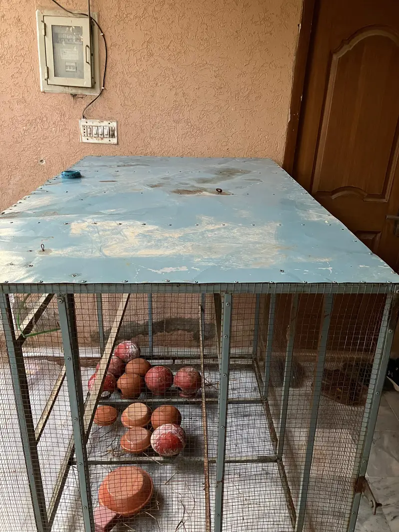 Large Bird Breeding Cage | Iron Aviary — photo 8