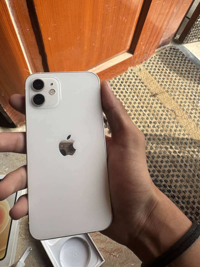 Apple iPhone 12 1