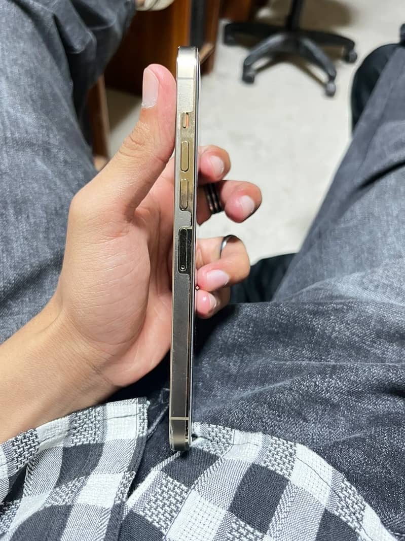 Apple iPhone 13 Pro Max 1