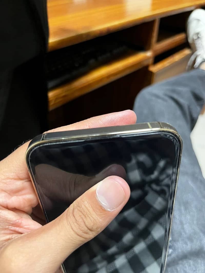 Apple iPhone 13 Pro Max 6