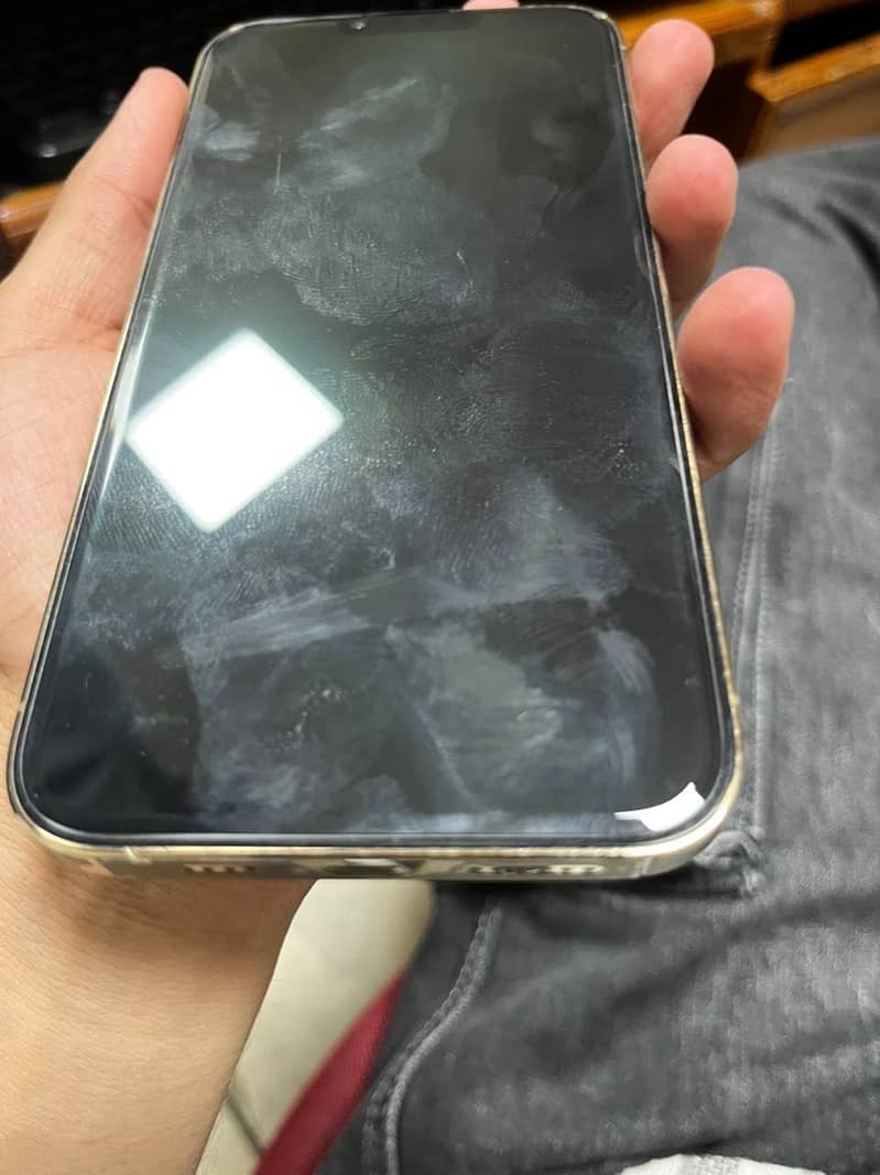 Apple iPhone 13 Pro Max 7