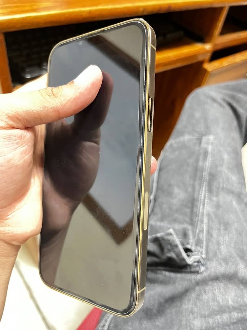 Apple iPhone 13 Pro Max 8