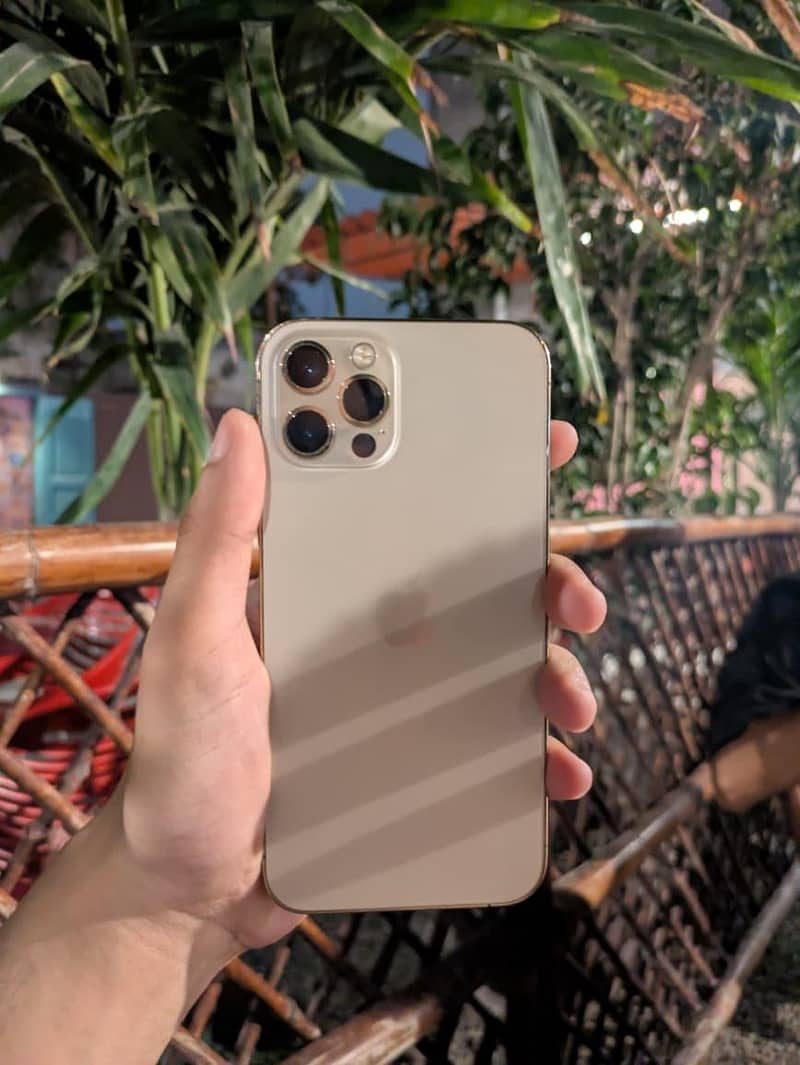 Apple iPhone 12 Pro 1