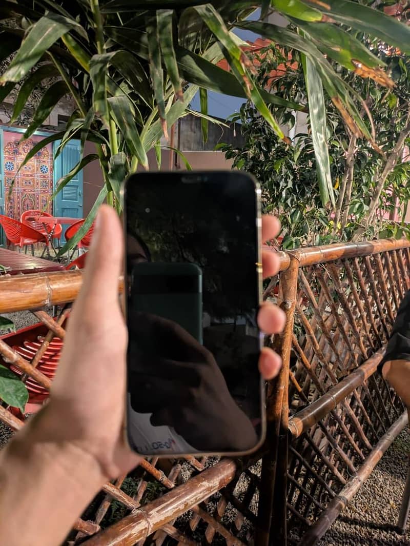 Apple iPhone 12 Pro 4
