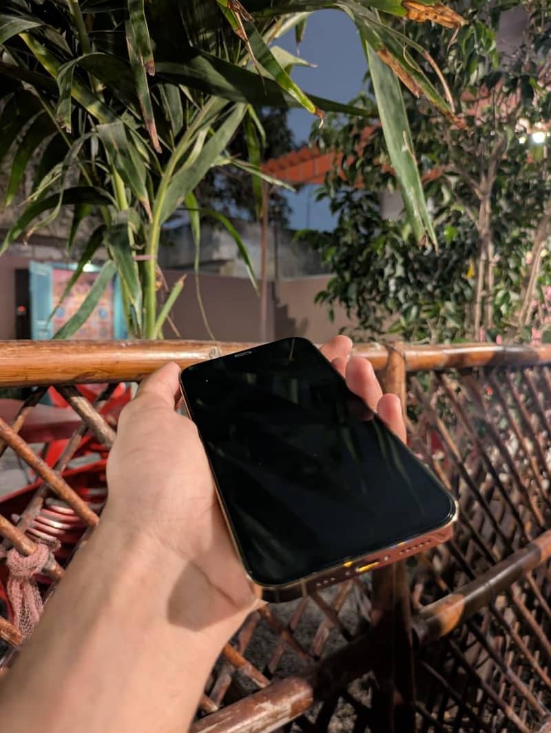 Apple iPhone 12 Pro 6