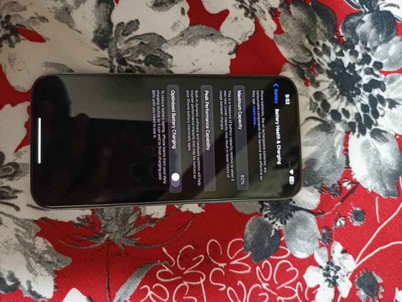 Apple iPhone 13 Pro Max 3
