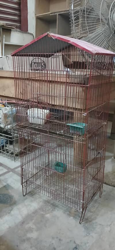 Parrot Cage