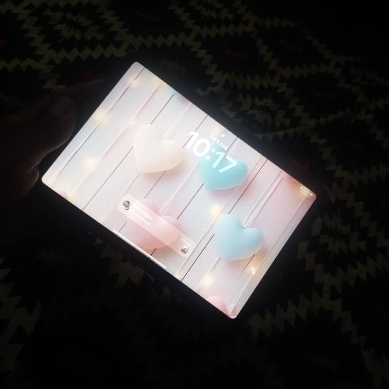 ipadmini 6 3