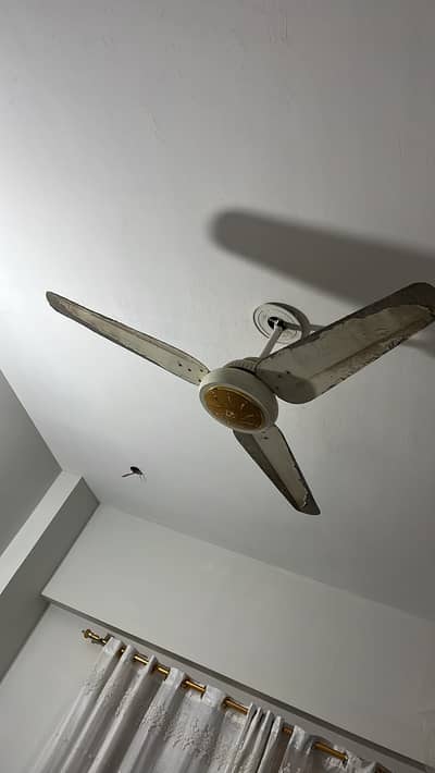 Ac dc fan