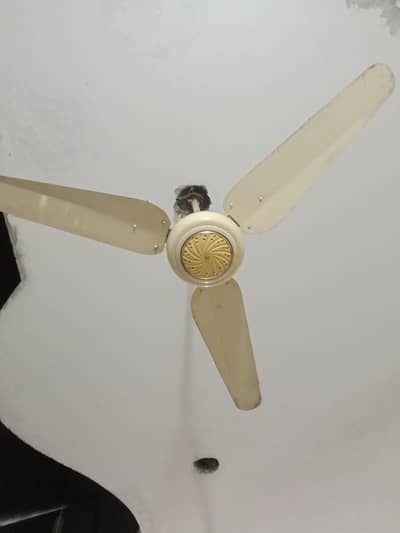 2 years use fan