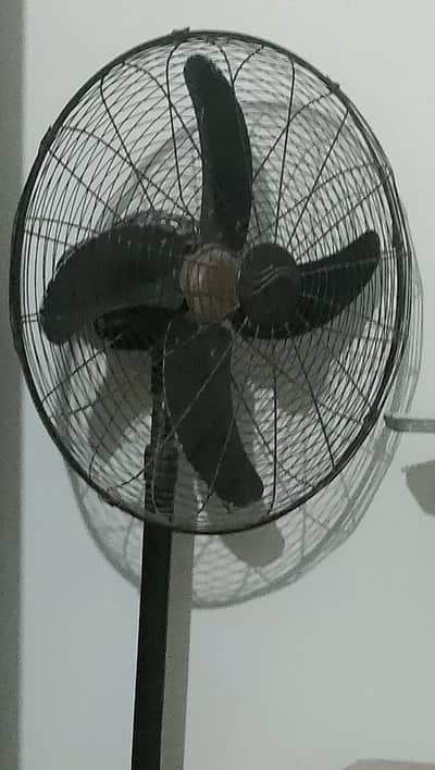 United Pedestal Fan