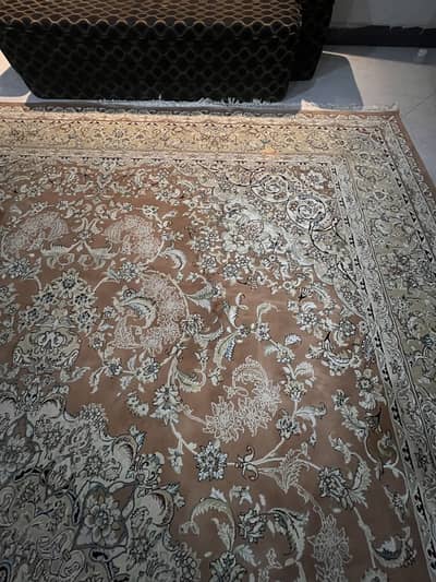 Premium Original Iranian Rugs