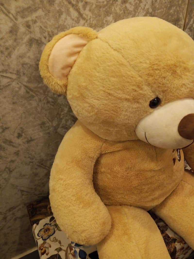 teddy bear 3