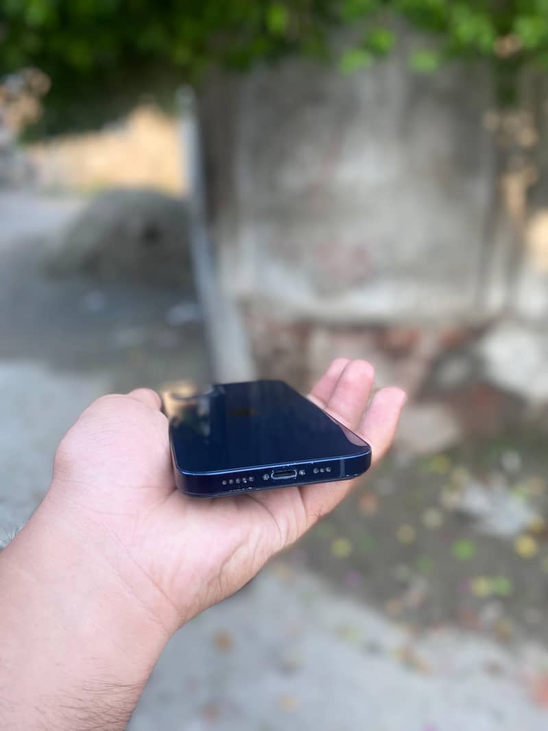 Apple iPhone 12 1