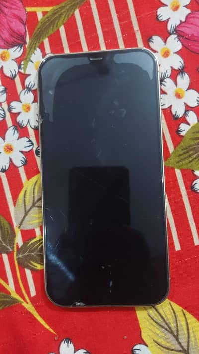Apple iPhone 12 Pro Max
